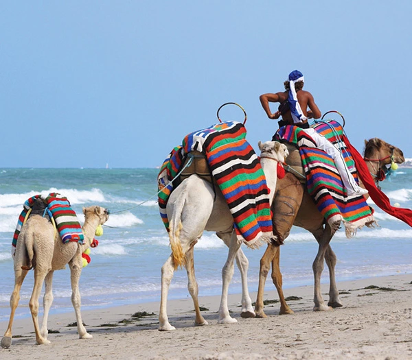 Location de vacances à Djerba