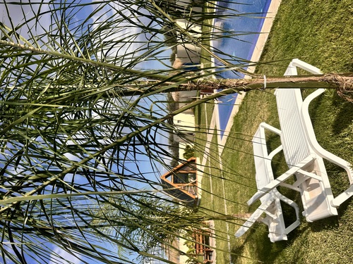 Dar Jad à Beni Khiar