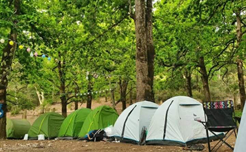 Les centres de camping en Tunisie